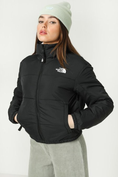 The north face jacket