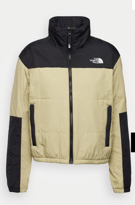 The north face jacket